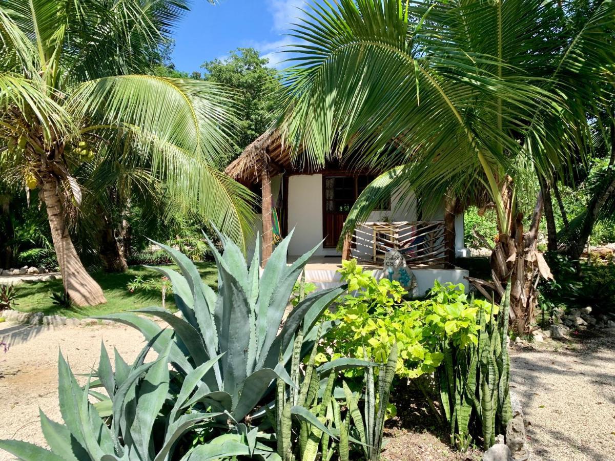 Villa Morena Boutique Hotel Ecoliving Akumal Eksteriør billede