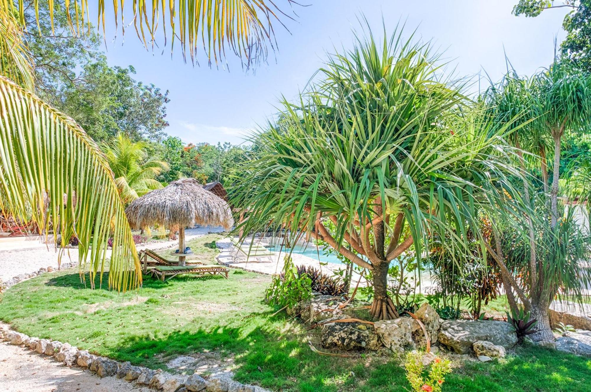 Villa Morena Boutique Hotel Ecoliving Akumal Eksteriør billede